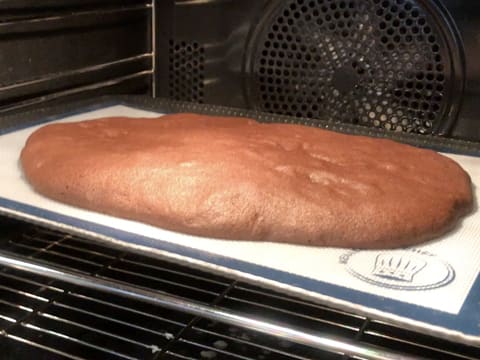 The chocolate biscuit is baking in the oven