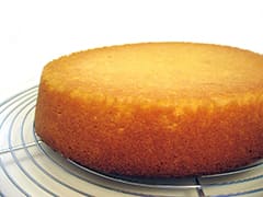 Génoise Sponge