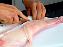 How to dress and cut monkfish fillets