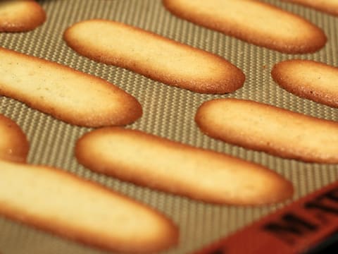 Langues de Chat Biscuits - 16