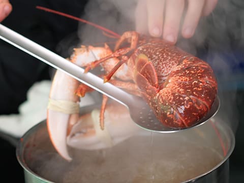 Lobster Two Ways, Mixed Cabbage Purée and Hibiscus Flower Mulled Wine Syrup - 38