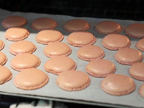 Grapefruit & White Chocolate Macarons - 15