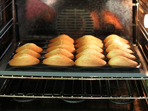 Chocolate-Dipped Madeleines - 16