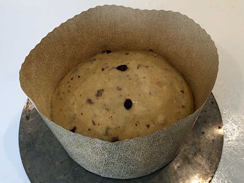 Panettone - 50