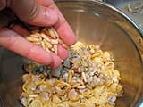 Pasta Salad with Cockles - 10