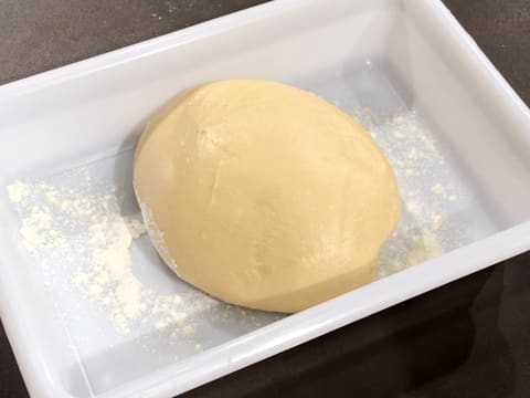 The brioche dough ball is in the floured tray