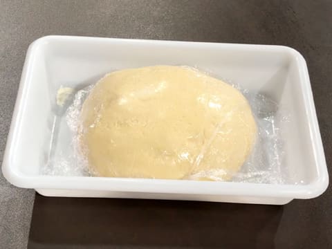 The surface of the brioche dough ball is covered with cling film