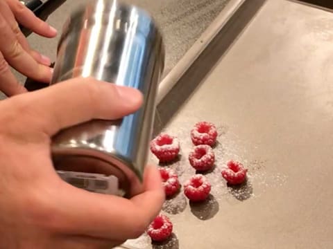 Raspberry Cake Roll - 100