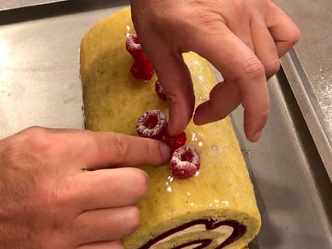 Raspberry Cake Roll - 103