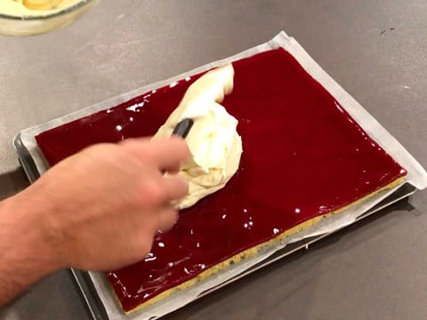 Raspberry Cake Roll - 74