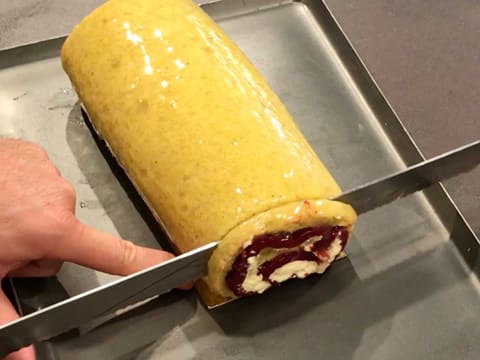 Raspberry Cake Roll - 98