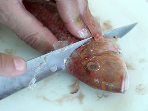 Red Mullet with Tabbouleh - 11