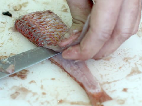 Red Mullet with Tabbouleh - 12