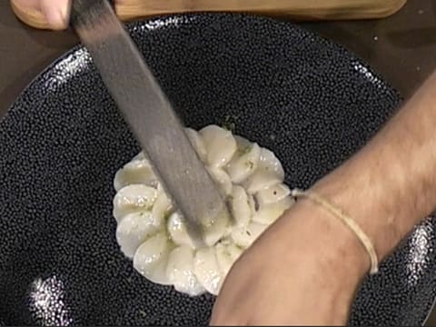 Scallop Carpaccio, Finger Lime & Yucca Flower - 27