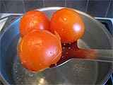 Seeding tomatoes - 1