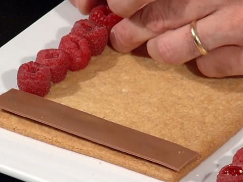 Milk Chocolate Crémeux & Raspberry Tart - 66