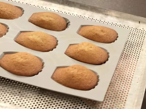 Gluten-Free Vanilla Madeleines with Chocolate Chips - 22
