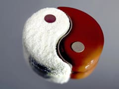 Yin Yang Entremets