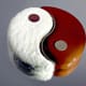 Yin Yang Entremets