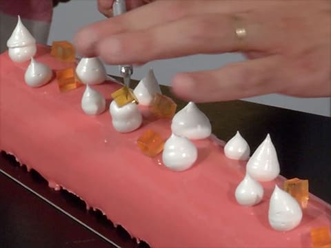 Yule Log with Grapefruit Mousse - 102