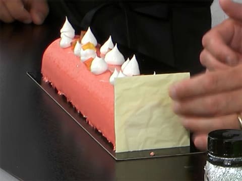 Yule Log with Grapefruit Mousse - 103