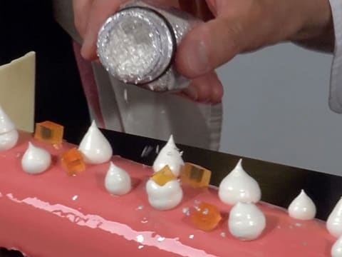 Yule Log with Grapefruit Mousse - 104