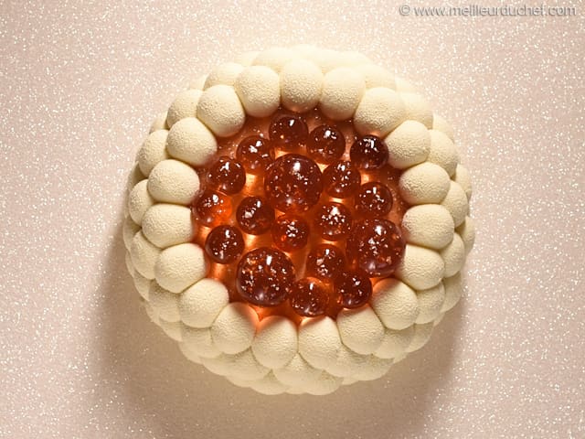 Entremets ai mirtilli, cioccolato e vaniglia