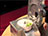 Coupe-l&eacute;gumes CL 50 Gourmet - Robot-Coupe 400 volts
