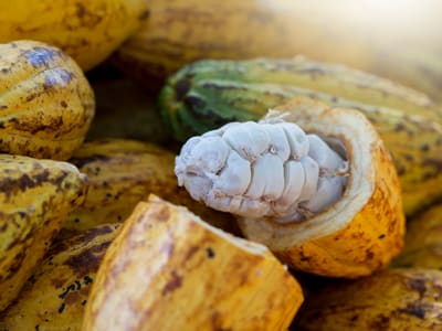 POURQUOI LES PEPITES DE CHOCOLAT TOMBENT-ELLES TOUJOURS AU FOND DU MOULE ?  - Les blablas de vivi