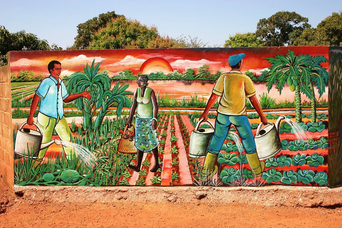 Jardins au Burkina Faso*ATTR