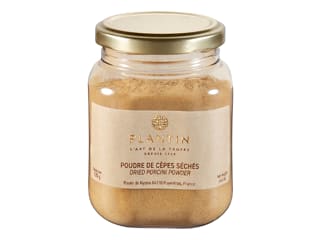Porcini secchi in polvere