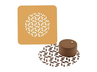 Stencil in silicone Naturae (x 2)