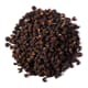 Timut Wild Pepper - Chef Philippe's Selection - 25g - Meilleur du Chef