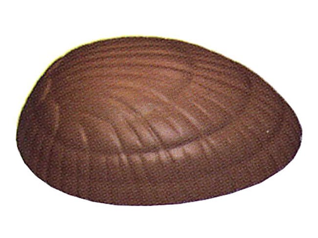 Chocolate Mould - 35 Easter shells