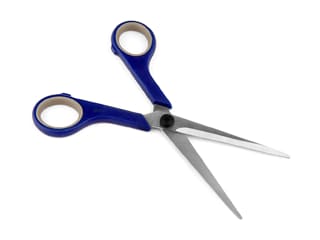 Scissors for Bakery