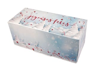 Yule Log Box "Sucre glace"