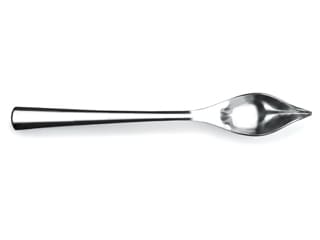 Stainless Steel Decorating Spoon