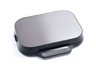 Dual Precision Scale