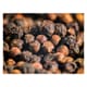 Yupanqui Black Pepper - 55g - Max Daumin