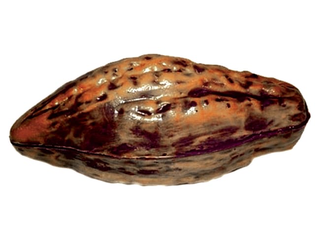 Cocoa pod - Length 12.9cm