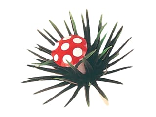 Mushroom & Holly Leaf Decorations (x 144)