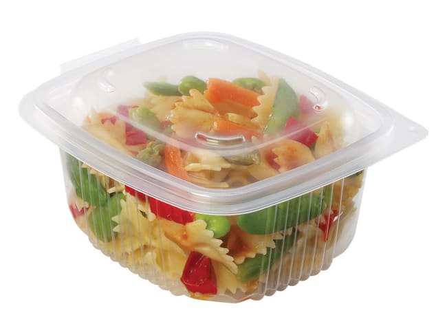 Container with Hinged Lid - capacity 250g (x 50)