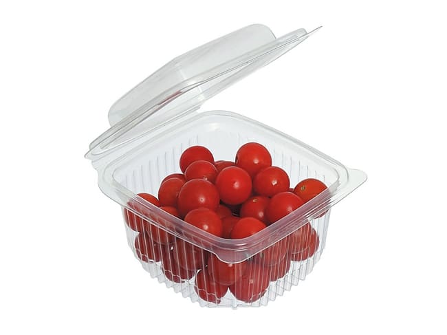 Container with Hinged Lid - capacity 250g (x 50)