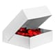 White square savarin boxes - height 10 cm - 18 x 18cm (x 50)