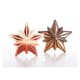 Christmas Star Chocolate Mould - Polaris - Pavoni