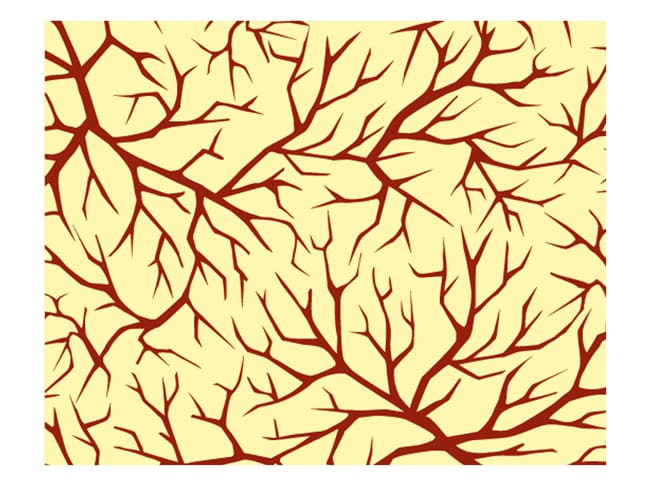 Chocolate Transfer Sheet - Tree branches - Pack of 5 - Pavoni