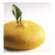 Lemon Entremets Silicone Mould - Cédric Grolet Line - Ø 18cm - Pavoni