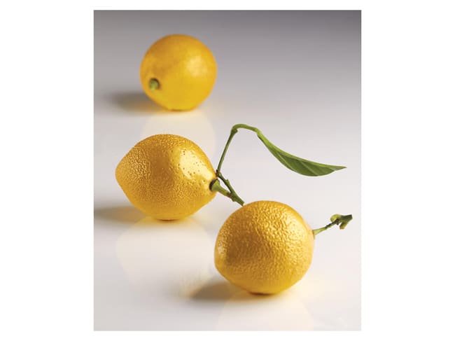 Lemon Individual Entremets Silicone Mould - Cédric Grolet Line - 30 x 17.5cm - Pavoni