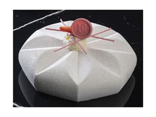 Sunny Silicone Mould