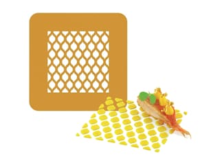 Silicone Chablon Stencil Mat Naturae (x 2)